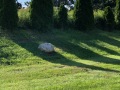 IMG_0539