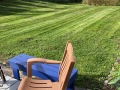 IMG_0592