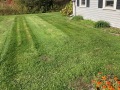 IMG_0595